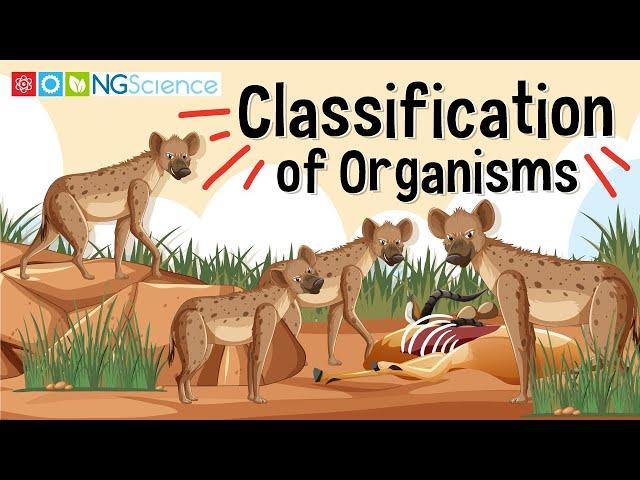 Classification of Organisms