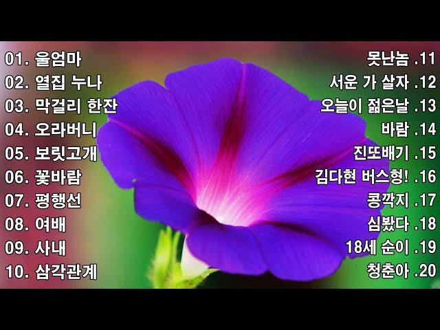 신나는 신나는 트로트 | KPOP [ TROT ] | PLAYLIST ️ (김희재.장민호.양지은.홍지윤.정동원.영탁.이찬원.김태연.김의영.임영웅.별사랑.은가은)️