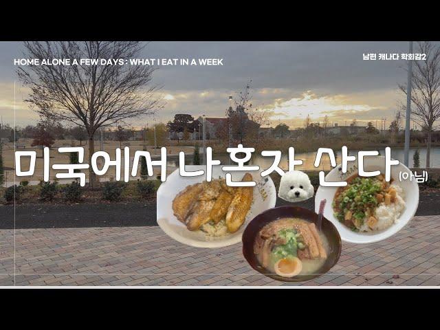  Home alone a few days 2 | 설탕이랑 둘이 공원도 감2 | 미국와서 처음 사귄 친구들이랑 같이 밥먹기 | OKC Vlog