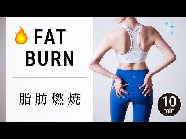 Whole body fat burning training in just 10 minutes-BEST FIT. #495