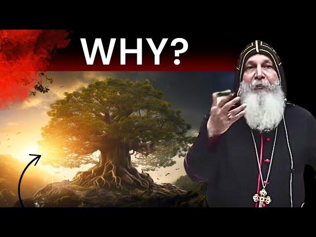 WHY THE TREE OF KNOWLEDGE WAS THERE? BISHOP MAR MARI