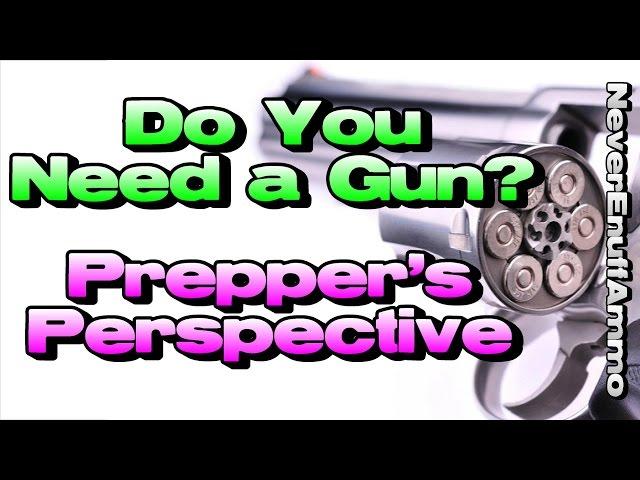 Do You Need a Gun? (Prepper's Perspective)