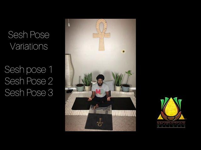 Demonstration of Sesh Pose variations