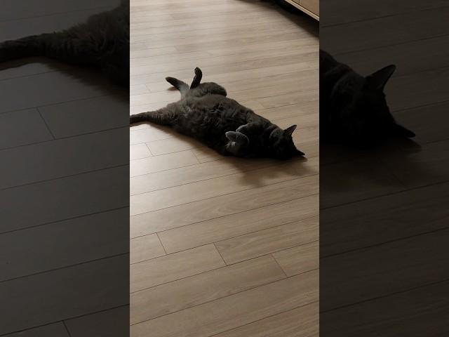 오늘도 해피해피