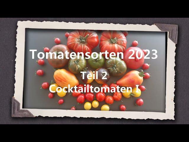 Tomatensorten 2023 Teil 2 - Cocktailtomaten I