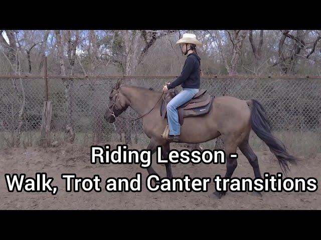 Riding Lesson - Walk, trot and Canter transitions