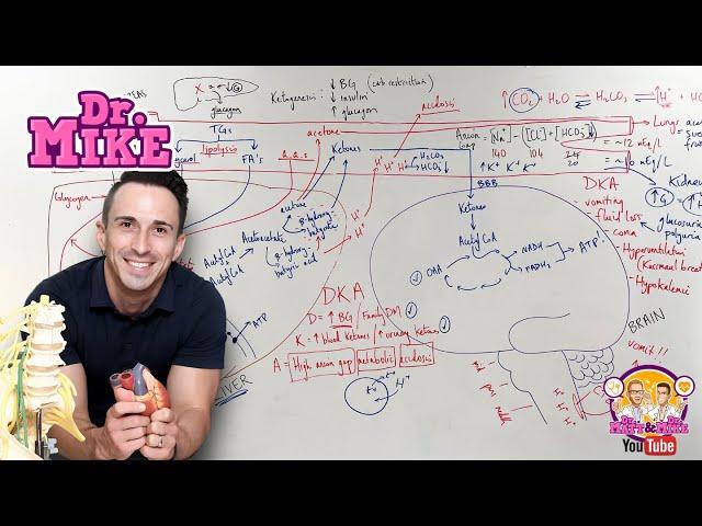 Ketogenesis & Diabetic Ketoacidosis (DKA)