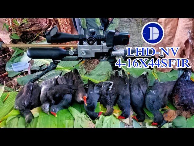 JACKPOT SA UWIS ‼️ | WATER COCK HUNTING | X4 RAF HUNTER EP90 | #hunting #viral