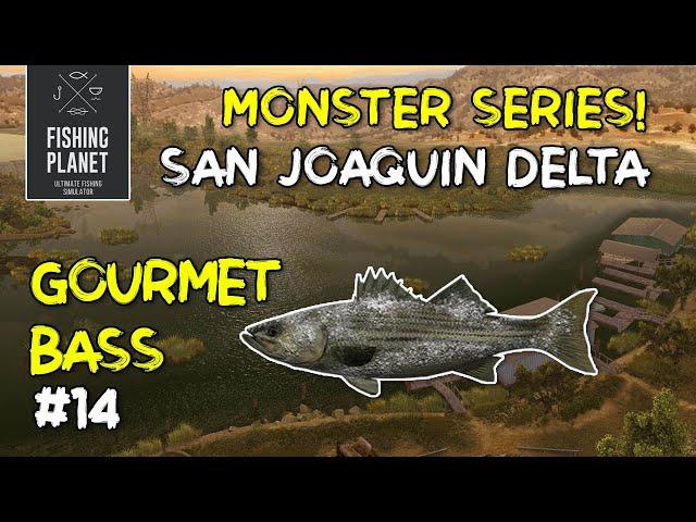 FISHING PLANET - MONSTER GOURMET BASS | SAN JOAQUIN DELTA