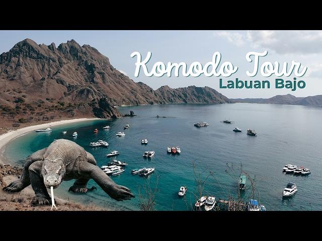  Why You Can’t Miss the Komodo Tour in Labuan Bajo! | Day 5 [Eng Sub]