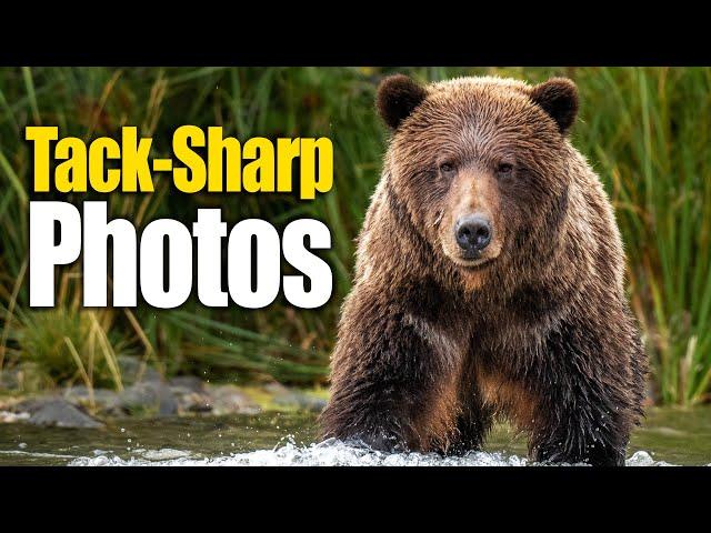 The Two Settings that Make Photos Tack Sharp