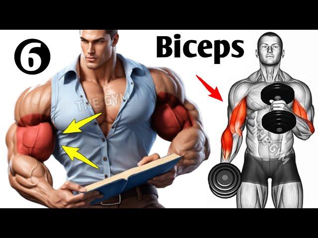 6 Best Biceps Workout At Gym