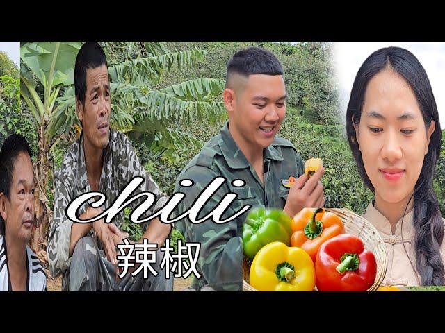 Hồng’s Unique Love Gesture: Two Chili Peppers for Nhu | Sung A Pao