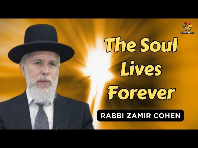 What Happens to a Person After Death? - Rabbi Zamir Cohen in English (AI)