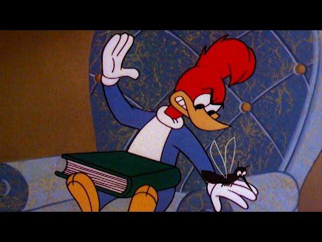 The Mosquito Won't Leave Woody Alone! | 2.5 Hours of Classic Episodes of Woody Woodpecker