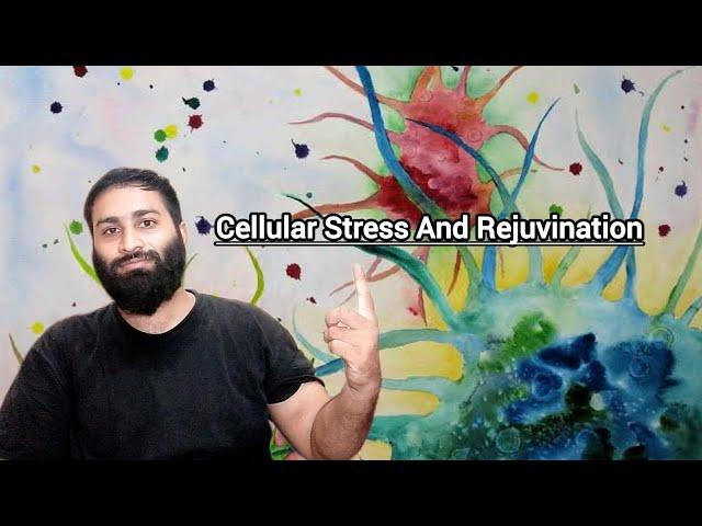 How Cellular Stress To Rejuvinate Your Tired Body?