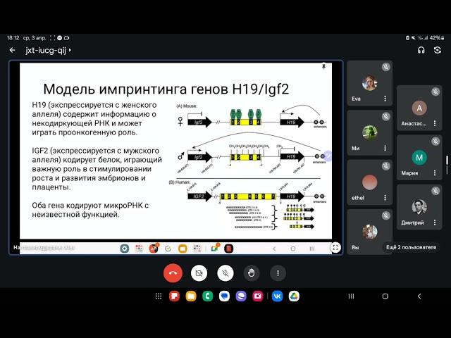 Заседание от 3.04.2024. Болезни геномного импринтинга