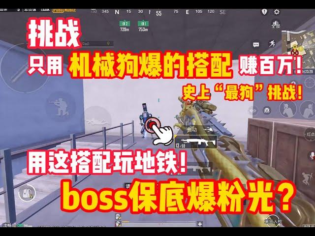 挑战用机械狗搭配赚百万！这搭配有奇怪爆率加成？boss保底爆粉？