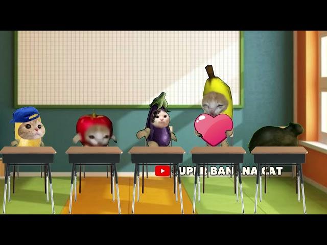 HAPPY CAT AND BANANA CAT SCHOLL - SPIN CAT CRY - OIIA CAT CRY