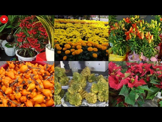 இது என்ன வியட்நாம் மலர் கண்காட்சி ஆ?/ Vietnam roads decorated with colourful flowers/ Vietnam vlog