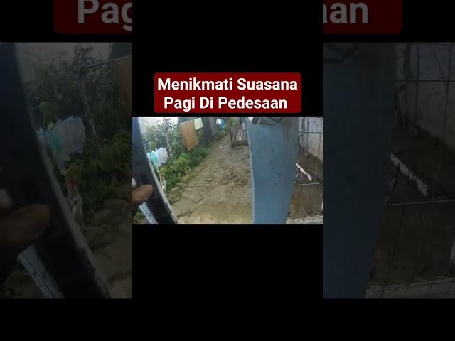 Suasana Rumah Pagi Hari Pedesaan Cianjur Selatan #pedesaan #rumah #cianjurselatan #perjalanan