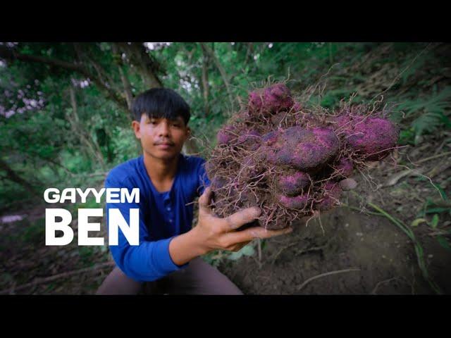 Real UBE(PURPLE YAM) from the forest | Cook ube halaya and purple sinigang [Gayyem Ben]