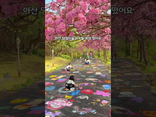 흐드러지는 겹벚꽃 아래에서 바닥화를 그릴 수 있는 곳! 이곳은,아산 당림미술관 입니다:)
