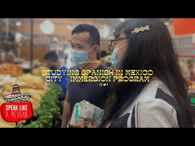 Studying Spanish in Mexico City - Spanish immersion in Mexico City