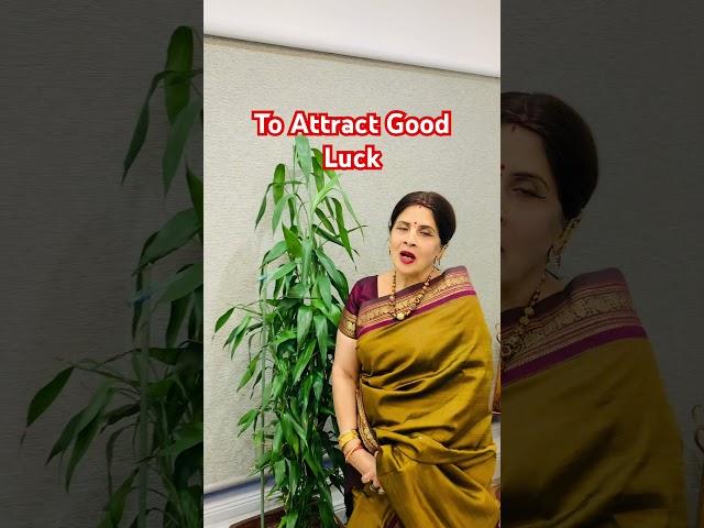 Mantra To Attract Good Luck --Mahalakshmi Mantra For Good Luck