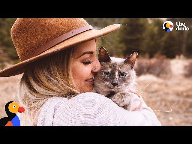 Stray Feral Cat Becomes An Adventure Cat - TUNA | The Dodo