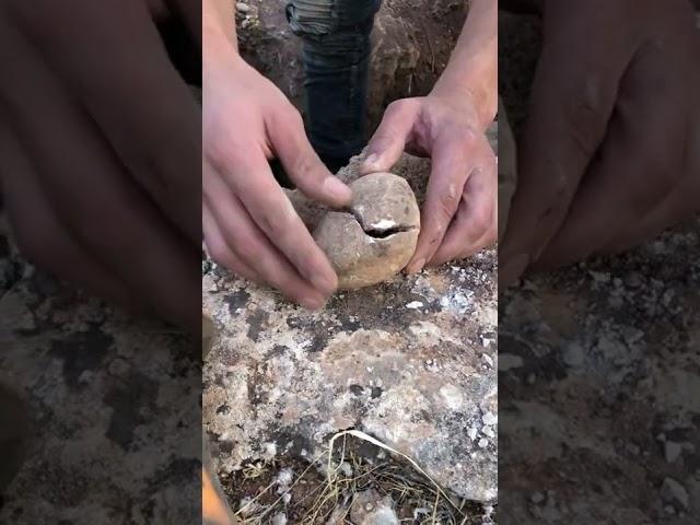gold coins inclosed in rocks /   كنوز وسط الصخور / treasurs hunter  / #treasure