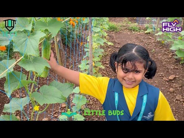 Educational field trip || Topic : Plants || Fly 2  || Madayippara || Little buds  || Kindergarten