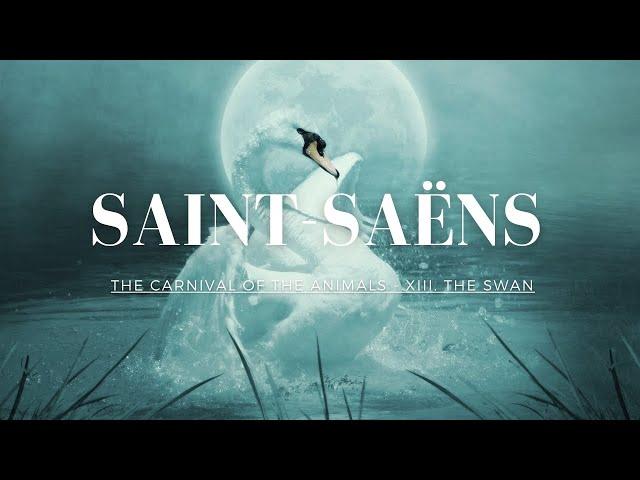 (一小時版本）聖桑 (動物狂歡節)  天鵝 - Saint-Saëns The Carnival of the Animals - XIII. The Swan