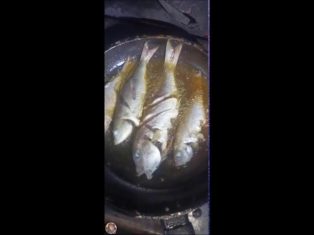 Good Morning everyone! #friedfish #cookingfish #buhayprobinsya