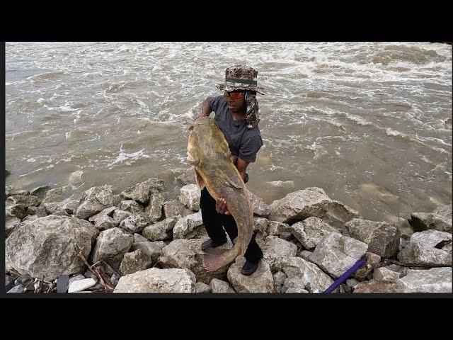 FISHING DAM BOILS (GIANT FLATHEAD CATFISH CAUGHT)