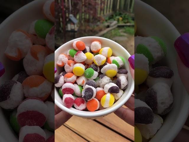 NEW Original Skittles POP’d Freeze Dried Candy!  #shorts #satisfyingvideo #asmr #candy