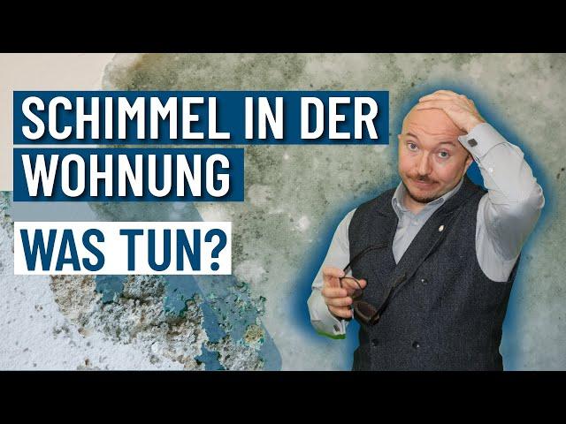 Unglaublich! So bekämpfst du SCHIMMEL in deiner Wohnung! | Energieberater klärt auf