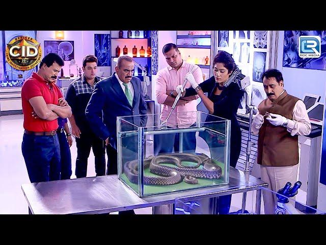 इस एक अजगर ने डाली 20 लोगों की जान खतरे में | Full Episode | Best Episode | Best Of CID