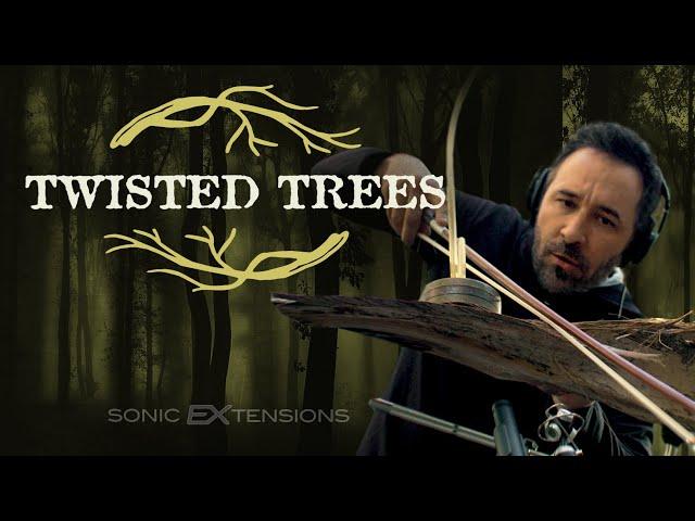 TWISTED TREES Introduction | Sonic Extensions