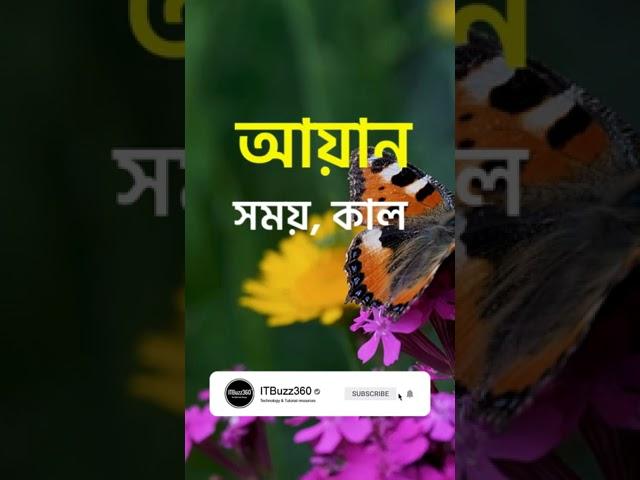 আয়ান নামের ইসলামিক অর্থ কি | Ayan Name Meaning in Bengali #Shorts #Ayan