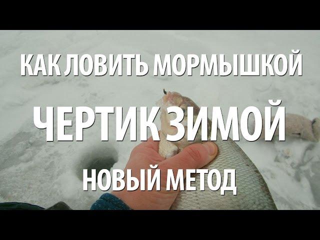 ЛОВЛЯ на ЧЕРТИКА ЗИМОЙ ПОДЛЕЩИКА