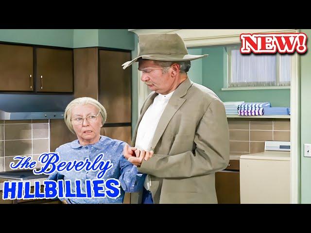 The Beverly Hillbillies 2024️ ️ SS10 - EP 04  ️️ Hot Sitcom TV Series 2024 Full Episodes