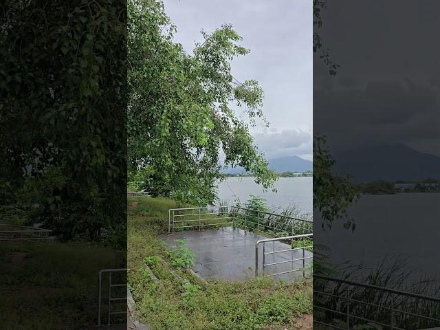 NATURE/Mr and Mrs Bindhu