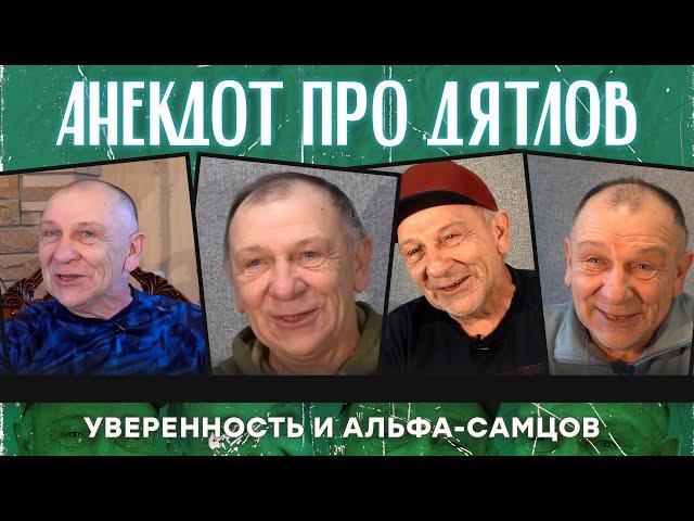 Анекдот про дятлов, уверенность и альфа-самцов