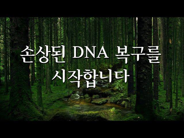 miraculous DNA repair transformation