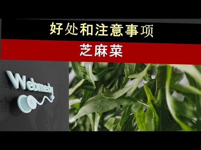 服用芝麻菜时要小心这一点|芝麻菜的十大健康益处