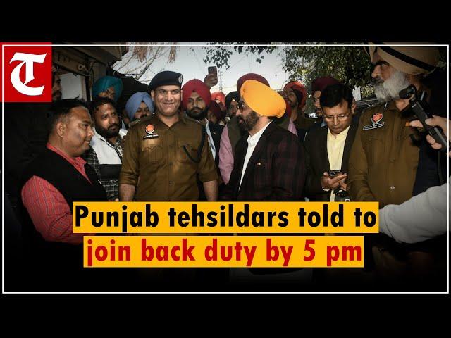 'Join work or face suspension': Punjab issues ultimatum to striking tehsildars