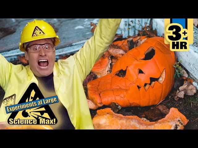 Pumpkin Drop Experiment | Fun with Materials | Full Episodes | Science Max | 9 Story Fun