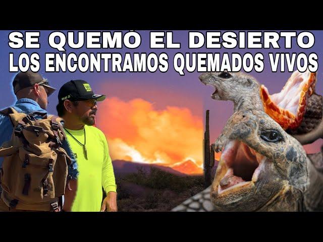 Rescatando Animales De Los Incendios con AVENTURAS AL EXTREMO