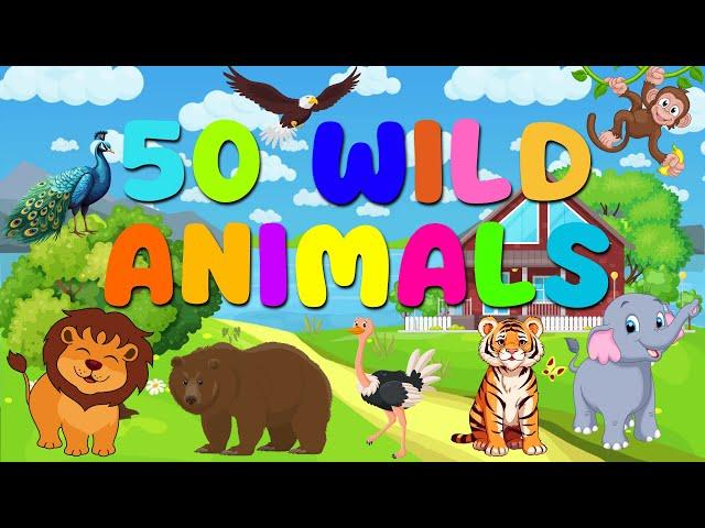 50 Wild Animals for Kids and Toddlers Learning | English Vocabulary | Kids Learning | BrainyBeams